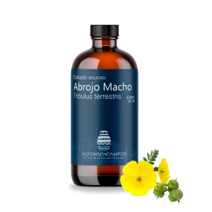 Abrojo macho / Tribulus terrestris