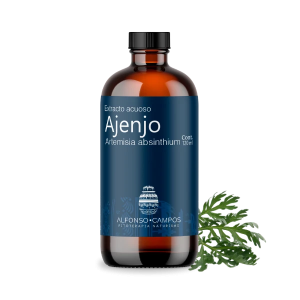 Ajenjo / Artemisia absinthium