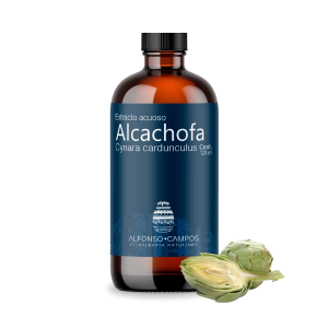 Alcachofa / Cynara scolymus