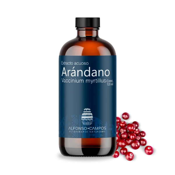 Arándano 25% Antocianina / Vaccinium myrtillus