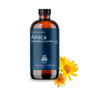 Árnica / Heterotheca inuloides