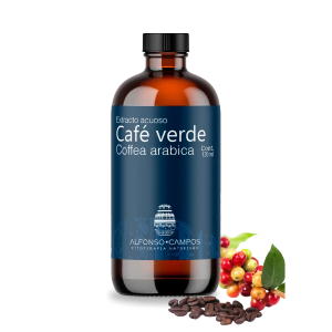 Café Verde / Coffea arabica