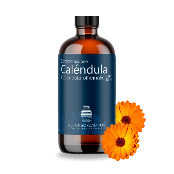 Caléndula / Calendula officinalis