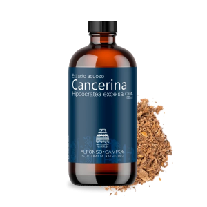 Cancerina / Hippocratea excelsa