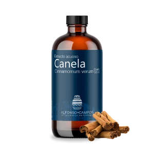 Canela / Cinnamomum verum