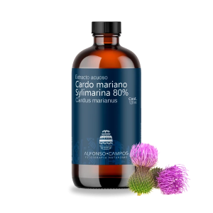 Cardus marianus-Milk Thistle