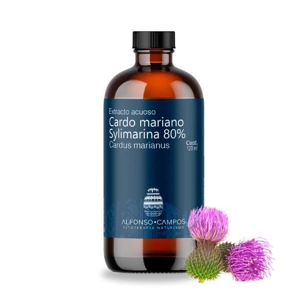 Cardus marianus-Milk Thistle