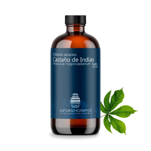 Castaño de Indias / Aesculus hippocastanum