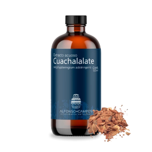 Cuachalalate / Amphypteringium adstringens