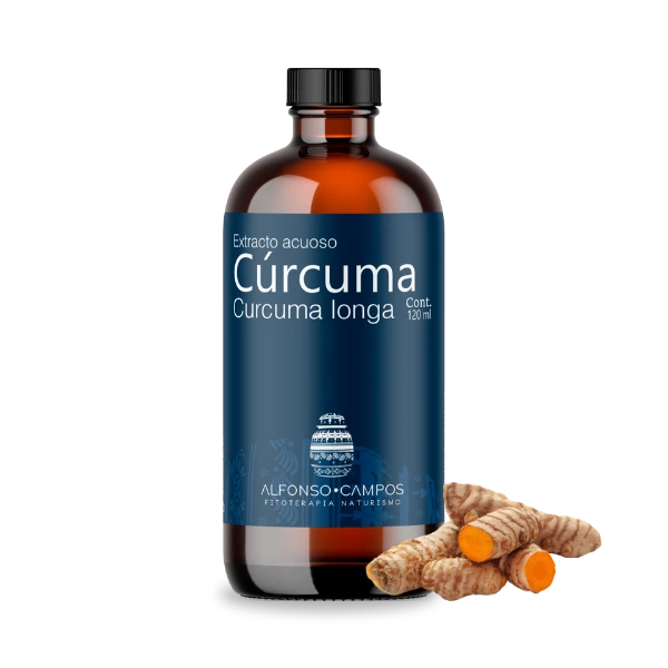 Cúrcuma / Curcuma longa