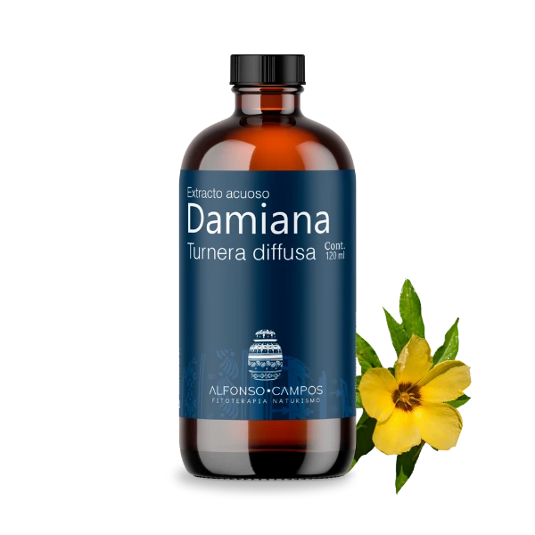Damiana / Turnera diffusa
