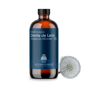 Diente de león / Taraxacum officinale