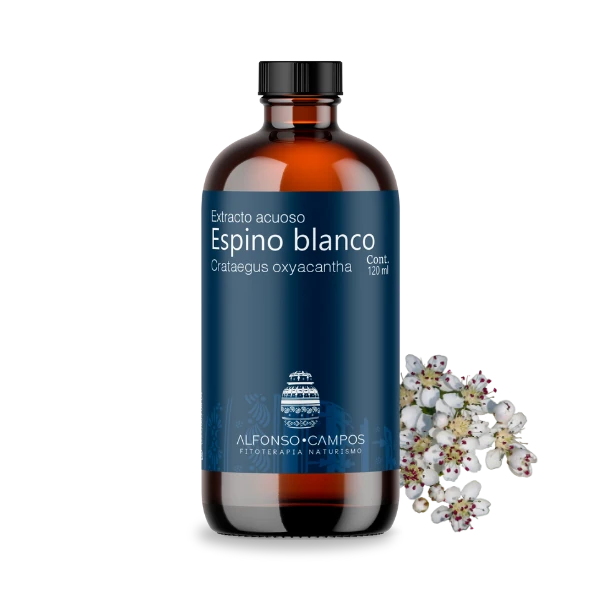 Espino blanco / Crataegus oxyacantha