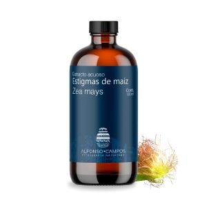 Estigmas de maíz / Zea mays