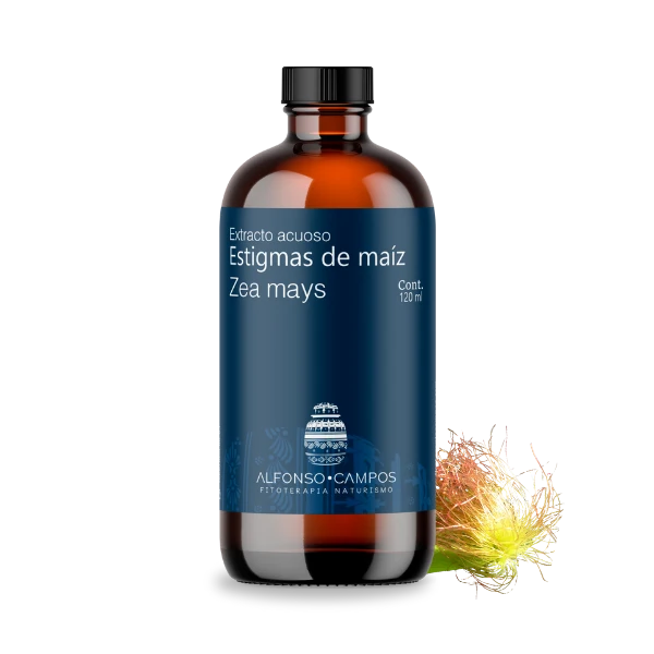 Estigmas de maíz / Zea mays