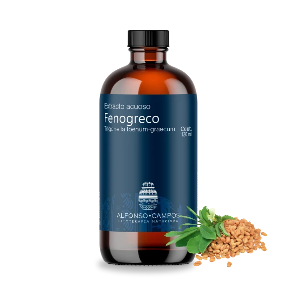 Fenogreco / Trigonella foenum-graecum