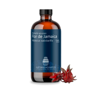 Flor de Jamaica / Hibiscus sabdariffa