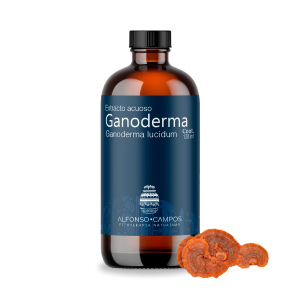 Ganoderma lucidum