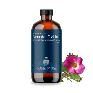 Garra del diablo / Harpagophytum procumbens