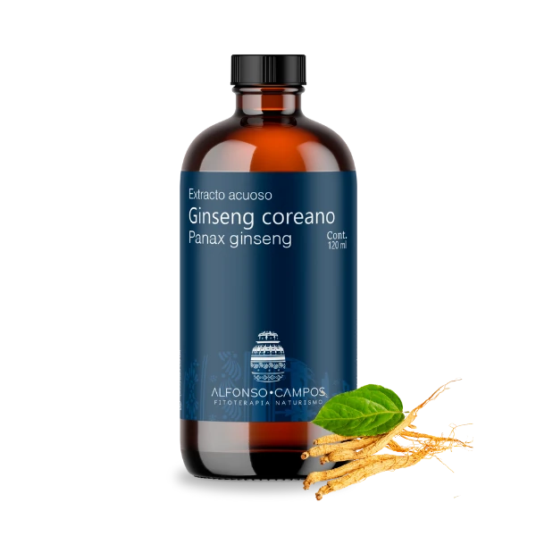Ginseng Coreano / Panax ginseng