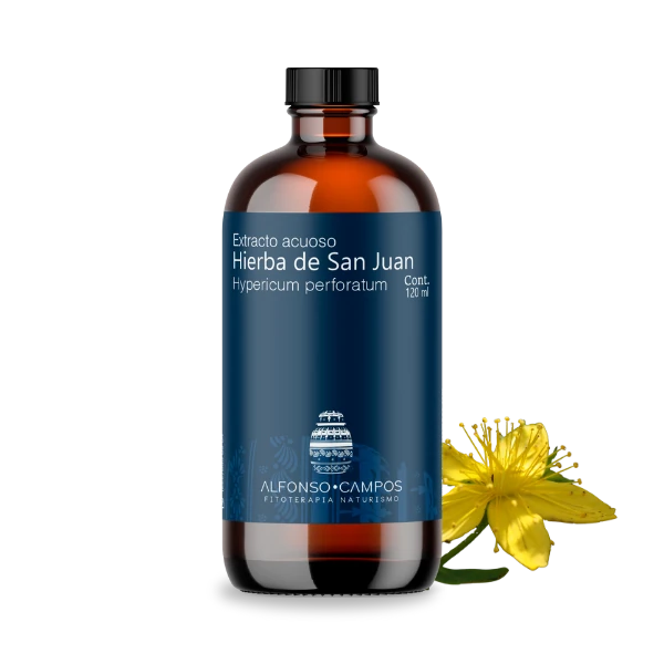 Hierba de San Juan / Hypericum perforatum