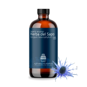 Hierba del sapo / Eryngium heterophyllum