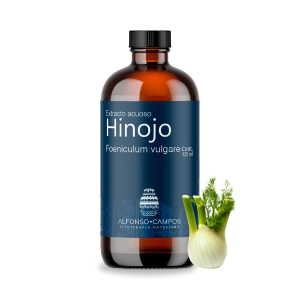 Hinojo / Foeniculum vulgare