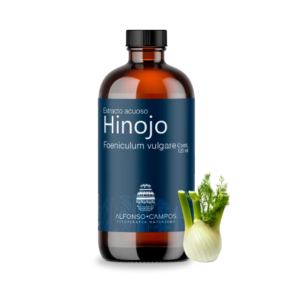 Hinojo / Foeniculum vulgare