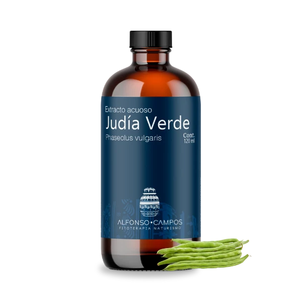 Judía Verde / Phaseolus vulgaris