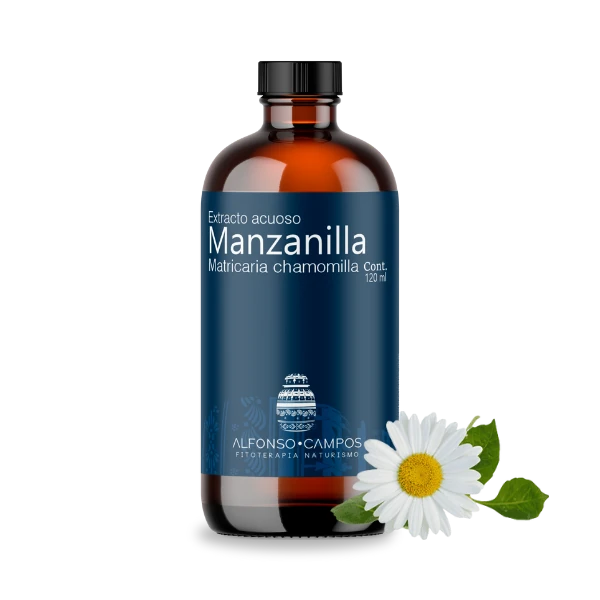 Manzanilla / Matricaria chamomilla