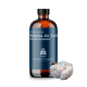 Melena de León / Hericium erinaceus