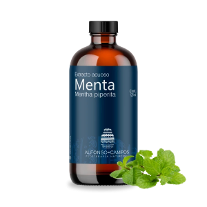 Menta / Mentha piperita