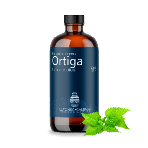 Ortiga / Urtica diotica