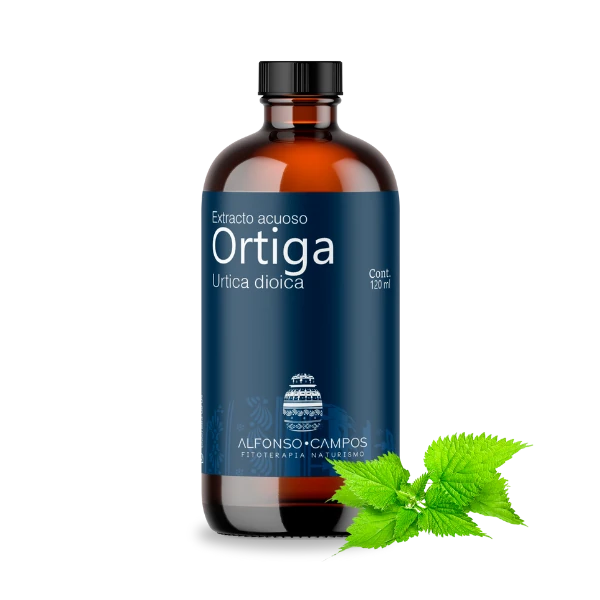 Ortiga / Urtica diotica