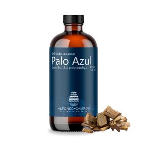 Palo azul / Eysenhardtia polystachya