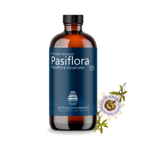 Pasiflora / Passiflora incarnata