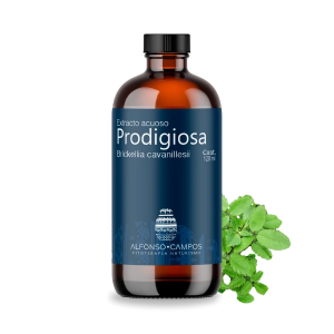 Prodigiosa / Brickellia cavanillessi