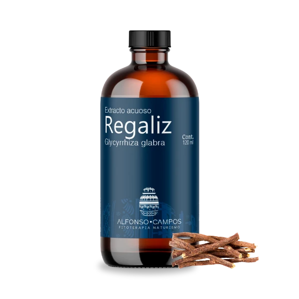Regaliz / Glycyrrhiza glabra