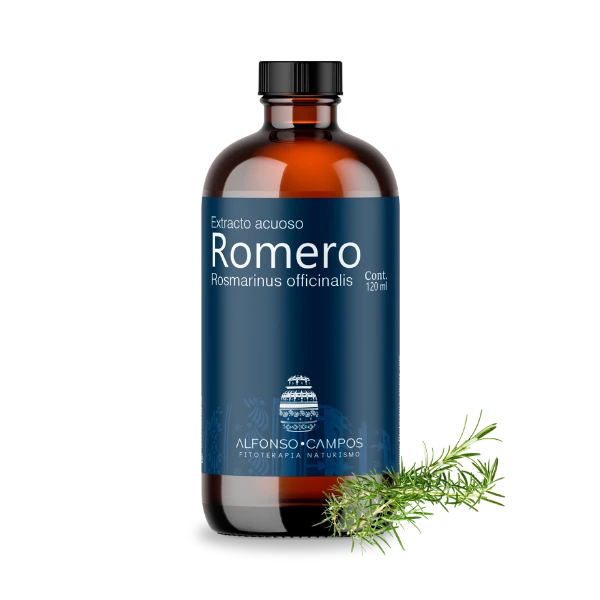 Romero / Rosmarinus officinalis