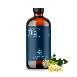 Tila mexicana / Tilia mexicana