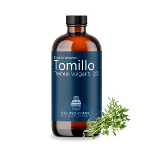 Tomillo / Thymus vulgaris