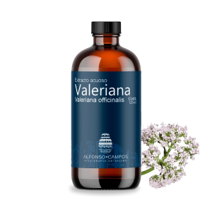 Valeriana officinalis